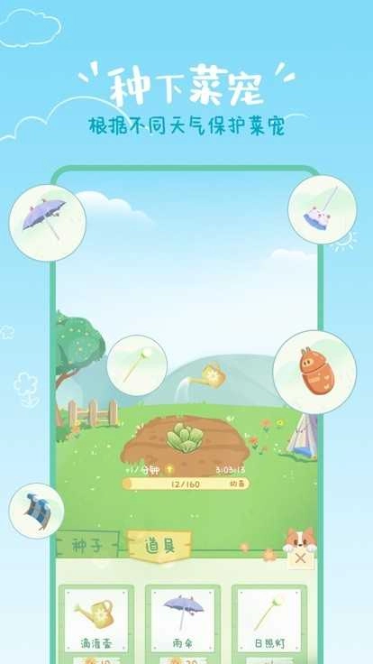 菜宠天气手机版图1