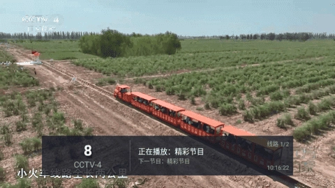 小青椒TV图2