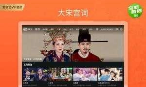 爱奇艺PAD安卓免费版图3