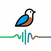 鸟语翻译器prt中文版