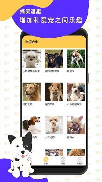 猫狗翻译神器免费版图3