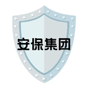 安保集团 