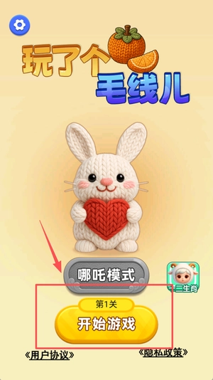 玩了个毛线儿图1