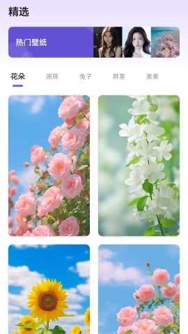 馏馏桌面组件王手机版图3