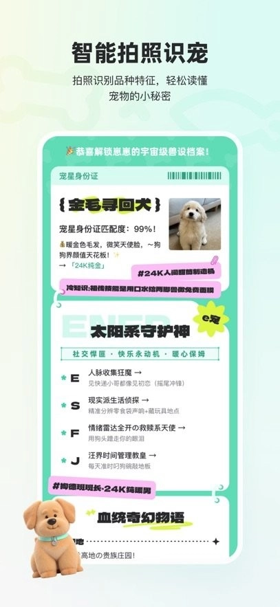 宠拍档软件通用版图3