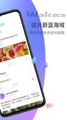 walsea官方正版图2