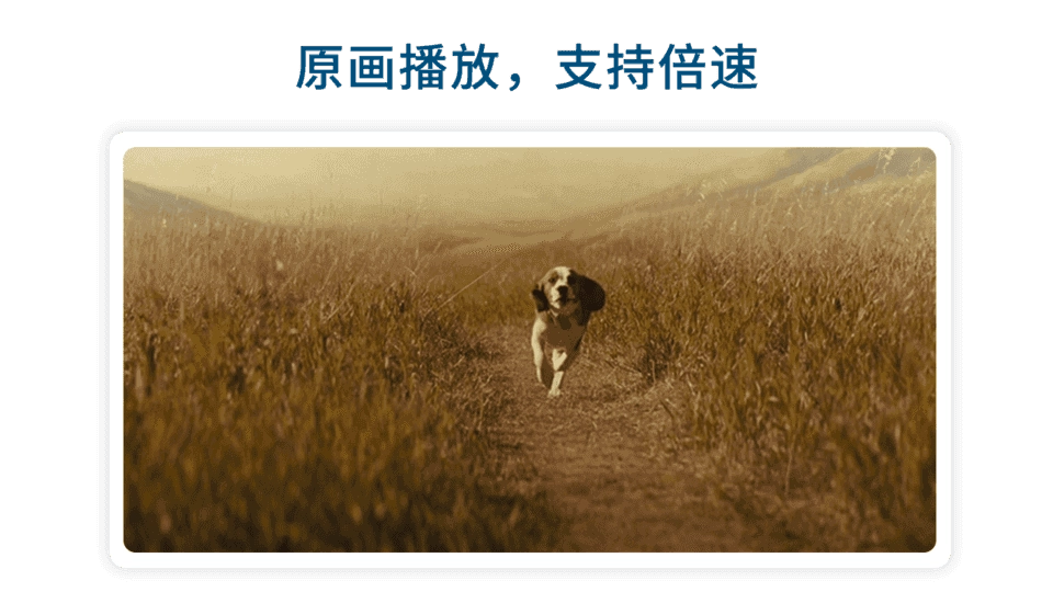 飞鸟免费版图4