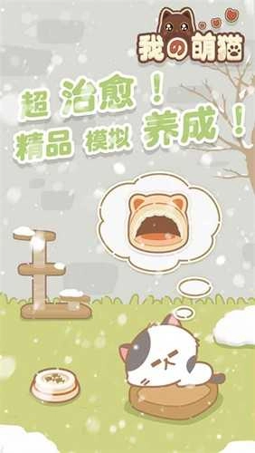 我的萌猫图4