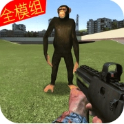 盖瑞模组手机版