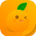橘子小说