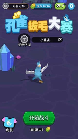 孔雀拔毛大赛图2