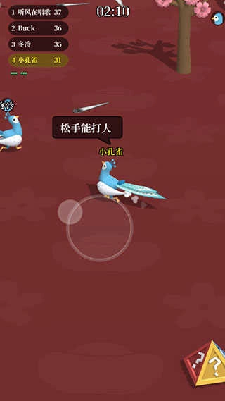 孔雀拔毛大赛图1