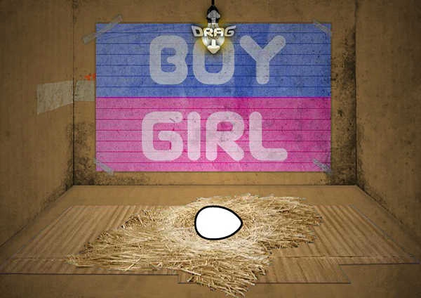 养只宠物球官方正版图3