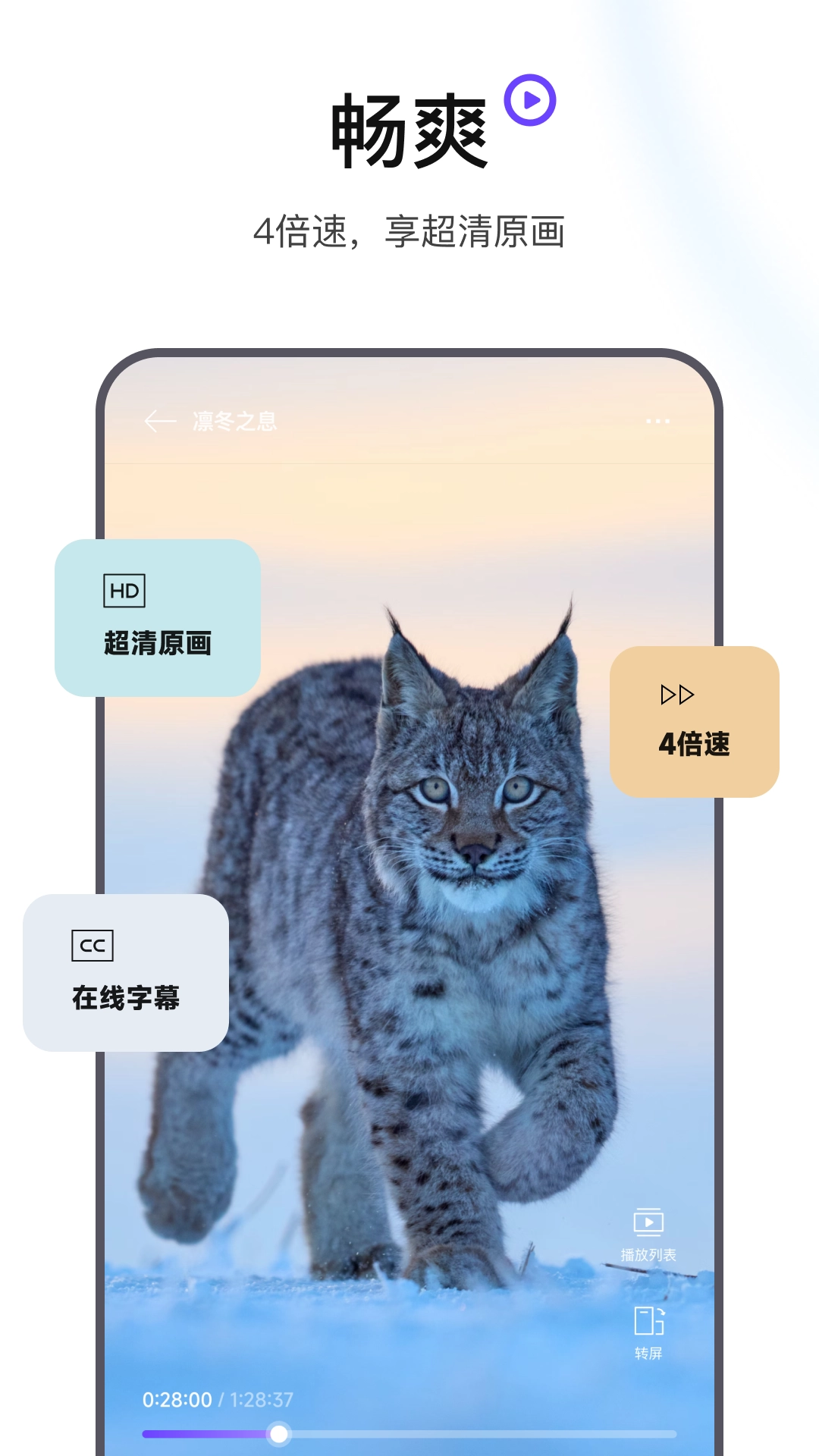 迅雷浏览器手机版(4)