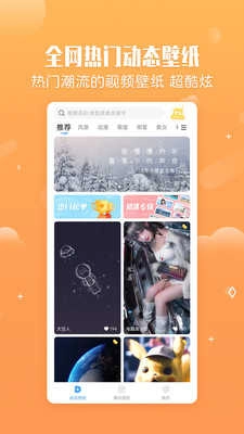 小鸟壁纸手机版图1