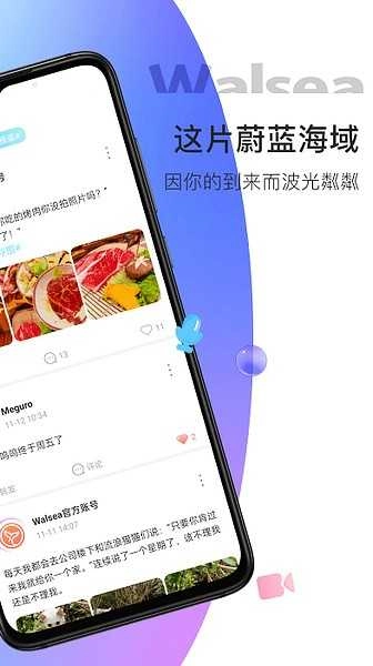Walsea最新版图3