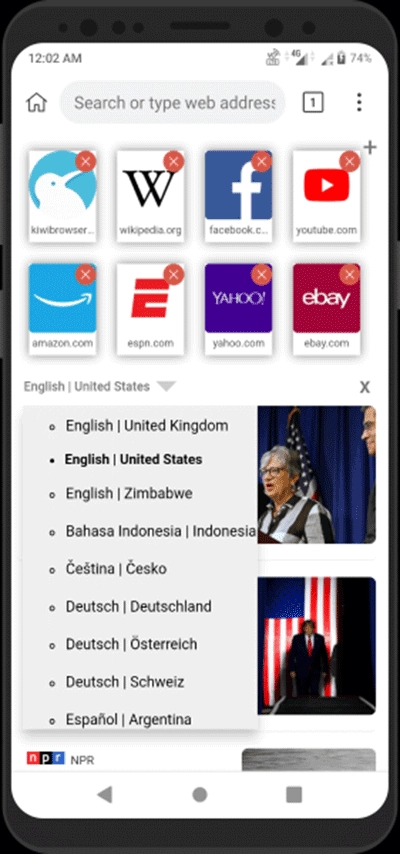 kiwibrowser最新版安装包下载