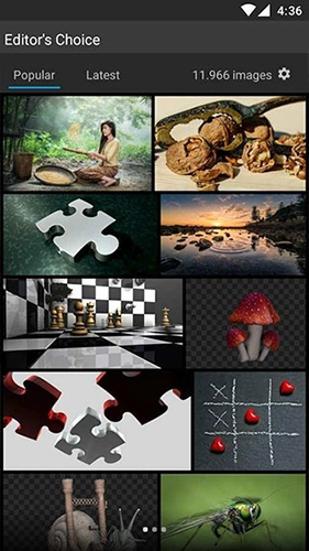 pixabay(1)