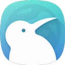 kiwibrowser最新版