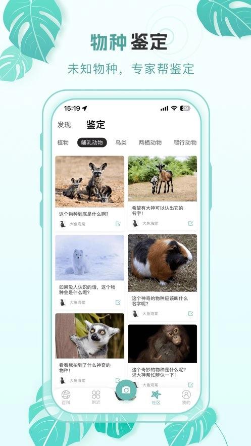 百科物语手机版图1