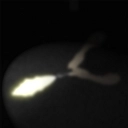 细菌边缘最新版