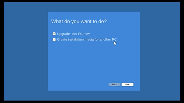 windows11模拟器手机版图3