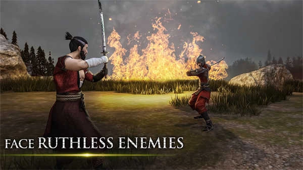 忍者武士隆中文版