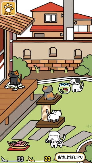 猫咪后院2(3)