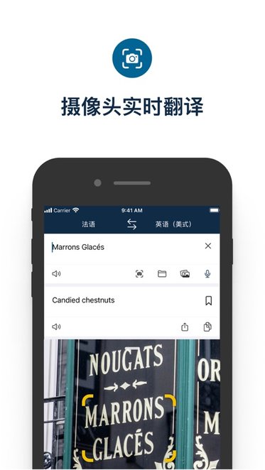 DeepL翻译软件手机免费版图1