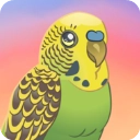 鸟类世界最新版