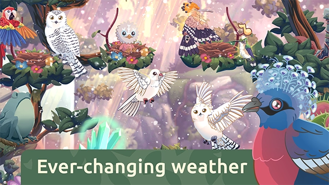 鸟类世界游戏(2)