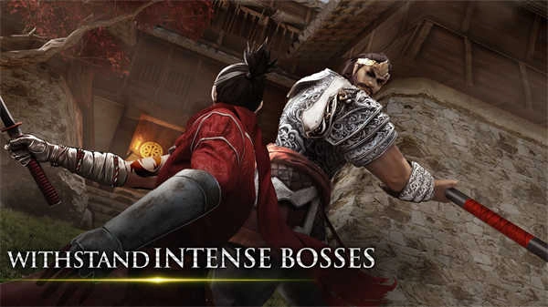 忍者武士隆中文版