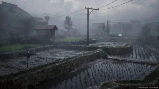《寂静岭》系列制作人冈本基认为：寂静岭是一种映射