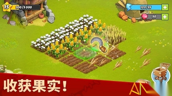 家族岛最新版图2