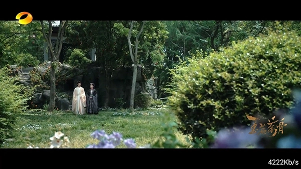 松鼠直播安装手机版