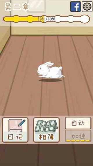 家有兔酱(1)