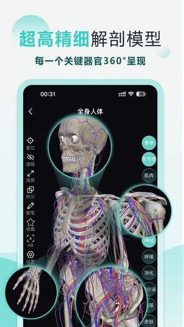 掌上3d解剖最新版图1