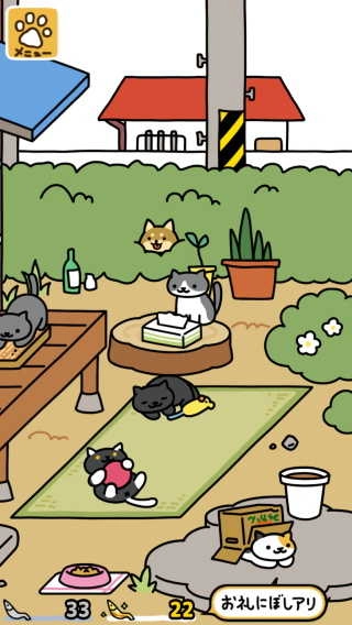 猫咪后院2(4)
