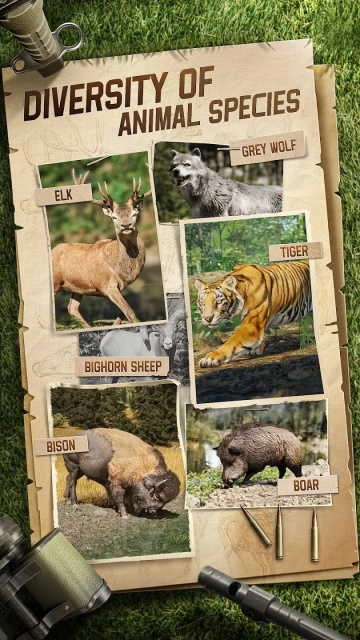 狩猎狙击手最新版图4