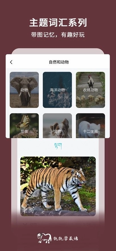 牦牦学藏语本正版图3