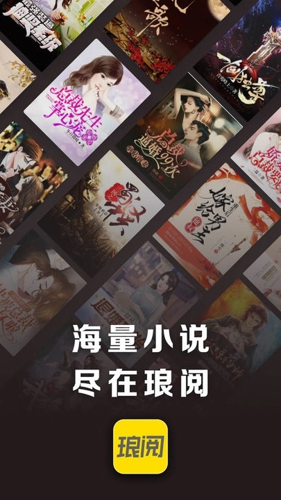 琅阅安卓直装版图1