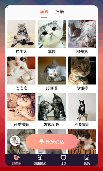 猫语翻译器软件安卓版图1