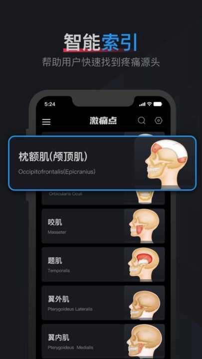 肌肉激痛点图谱手机版图2