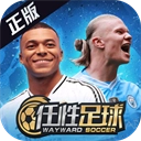 任性足球直装版
