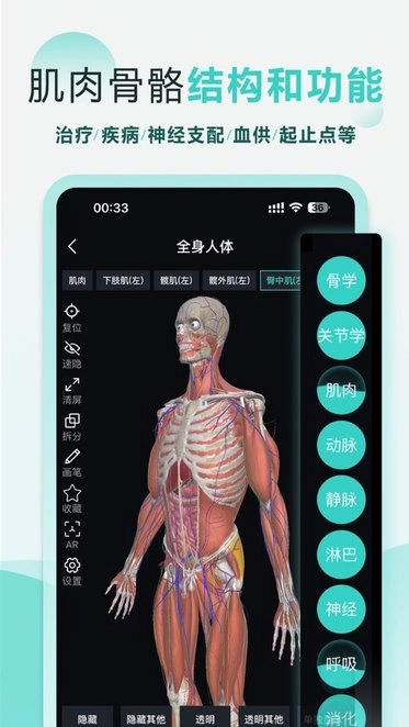 掌上3d解剖最新版图2