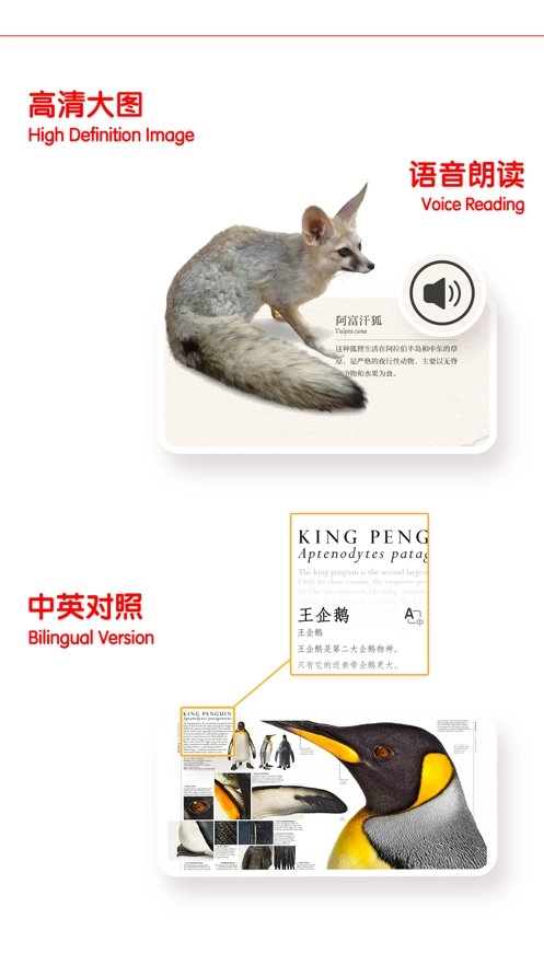 千奇百科岛手机最新版图1