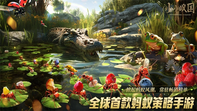 蚂蚁地下王国