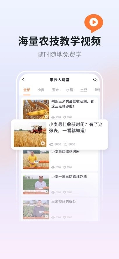 丰云农服最新版图3