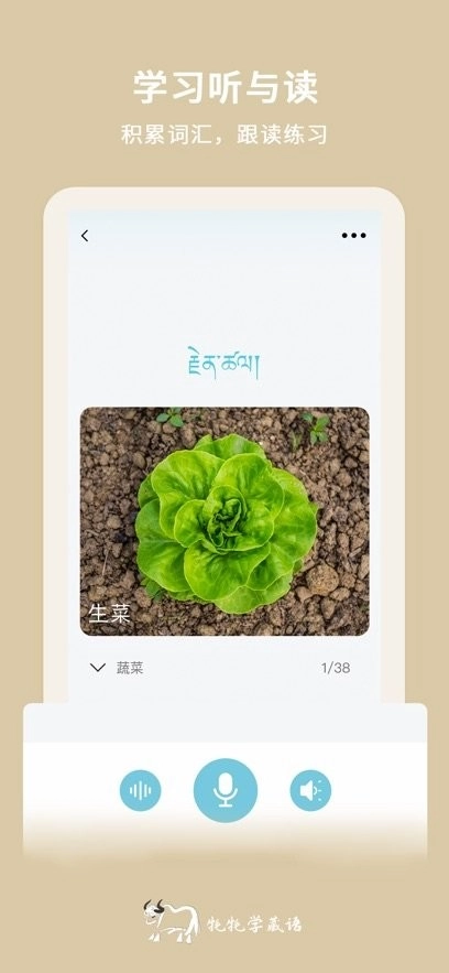 牦牦学藏语本正版图1