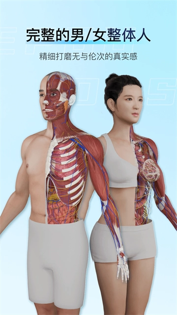 解剖大师免费版2